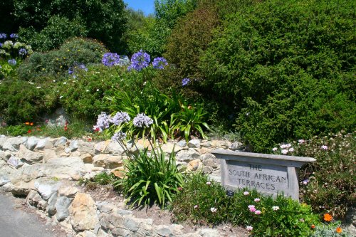 In the Botanic Gardens