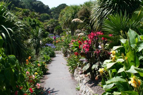 In the Botanic Gardens