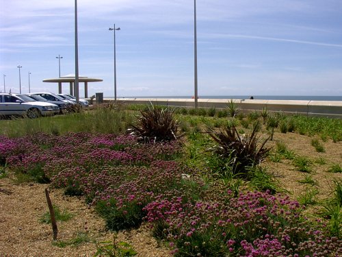 Cleveleys new seafront