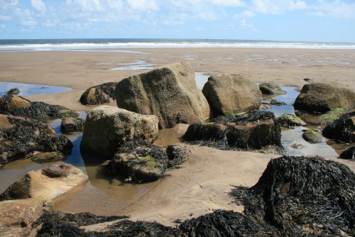 Whitby Rocks