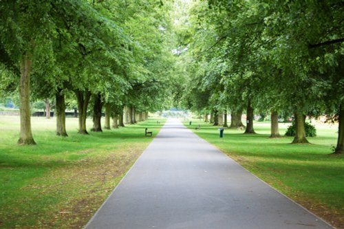 Himley Park