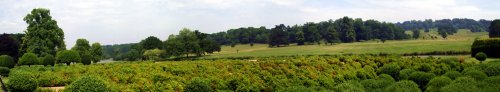 Wide angle shot of part of the grounds.