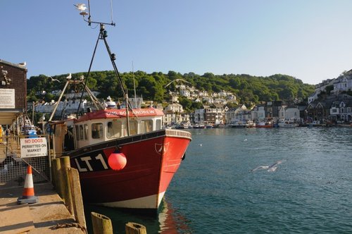 Fishing Boat in Looe Harbour - June 2009