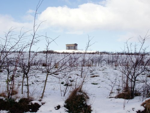 Penshaw Monument from Herrington Country Park