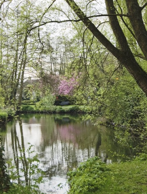 Bloom beside the river