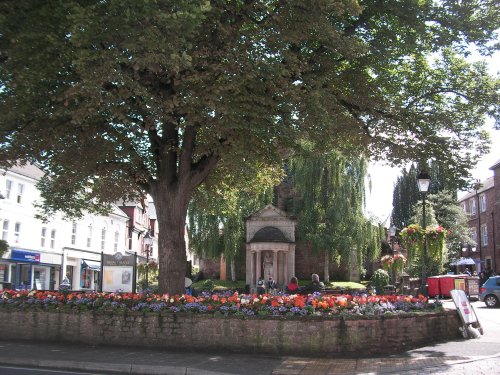 Minehead flowers.