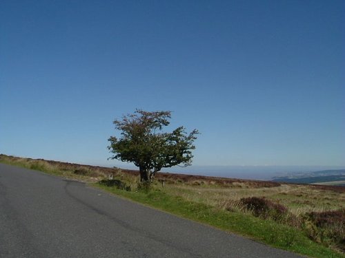 Exmoor, Somerset