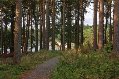 Fewston Reservoir 004