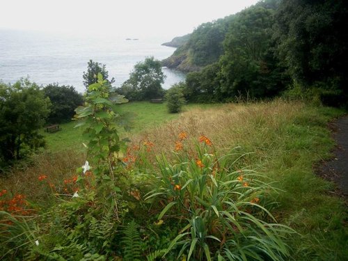 View from Dartmouth Castle