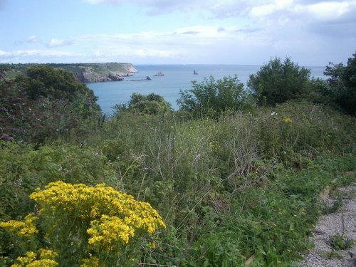 Berry Head St.Mary's Bay Brixham