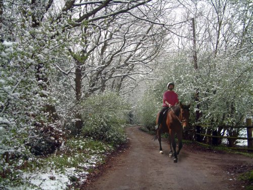 Frosty ride in Thundersley