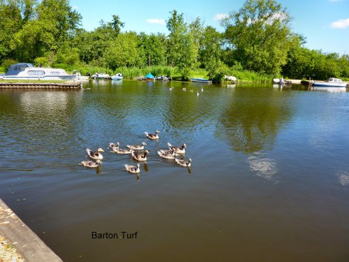 A view of  Barton Turf