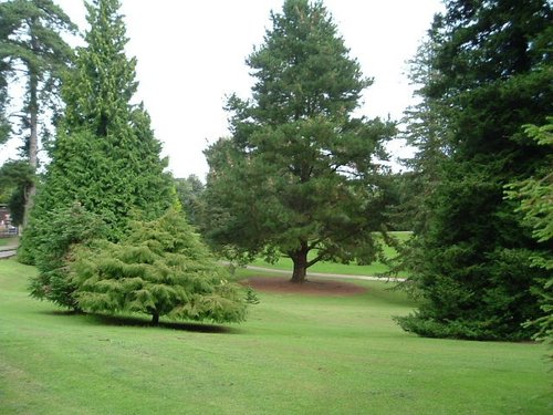 Bicton Park