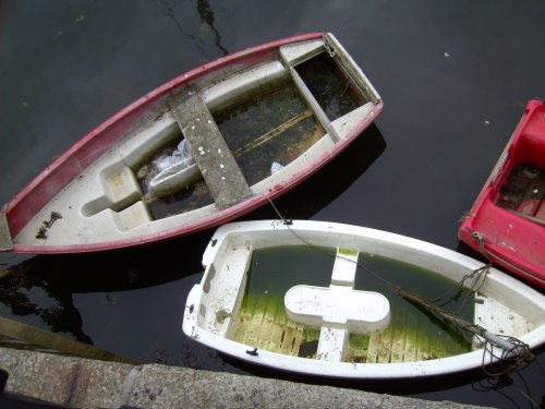 Rowing Boats