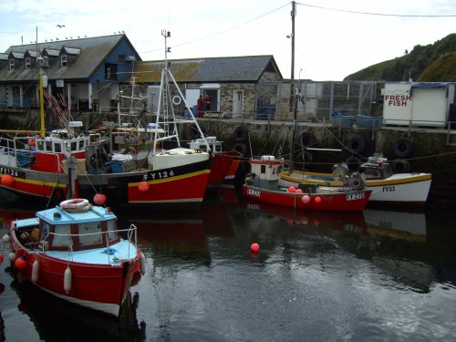 Fishing Boats