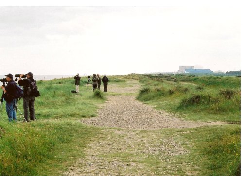 Bird watchers near the beach at Minsmere