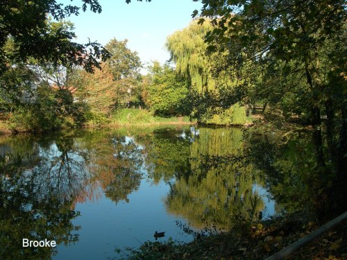 A pond in Brooke