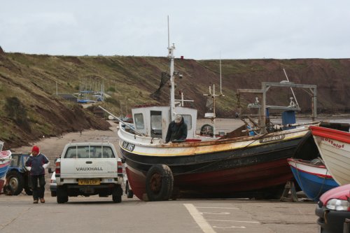 Landing the catch