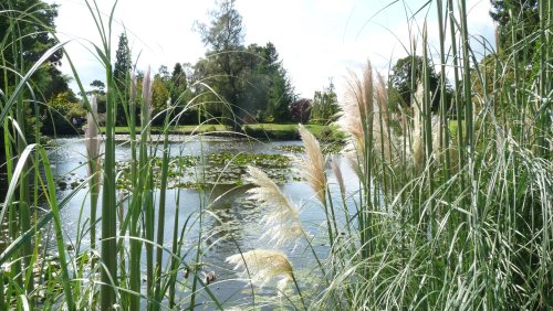 One of the lakes In the Japanese section.