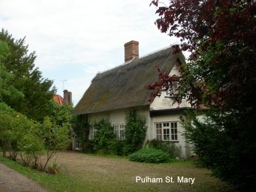 Thatched Cottage in Pulham St Mary.