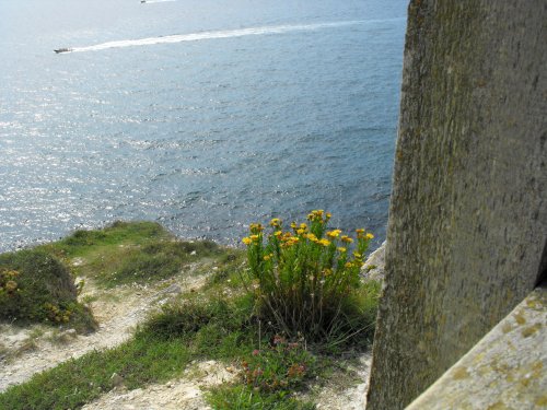 Lulworth Cove scene