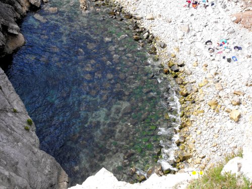 Tidal pool colours