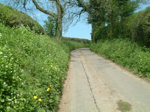 Country Lane