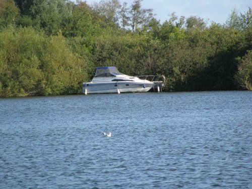 Ranworth Broad