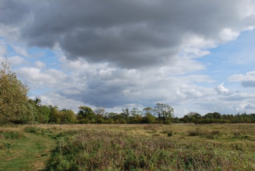 Cossington Meadows