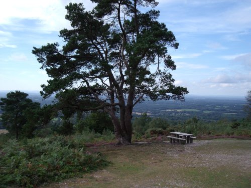 Leith Hill