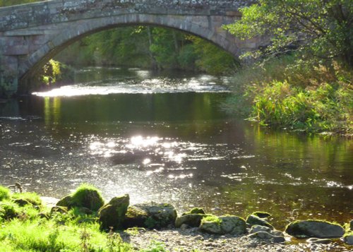 Newton Bridge