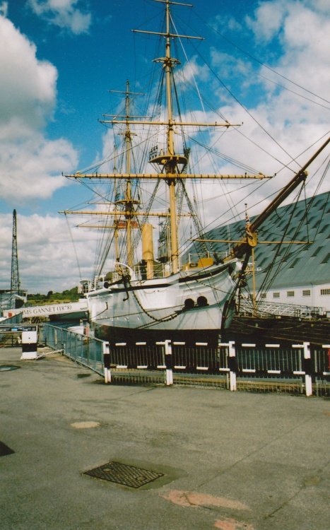 HMS Gannet