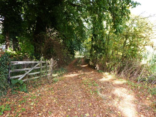 Leafy path by the Church.