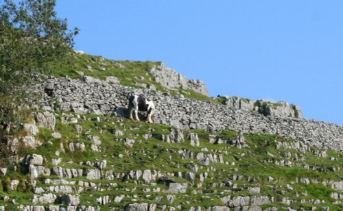 Ingleton Falls