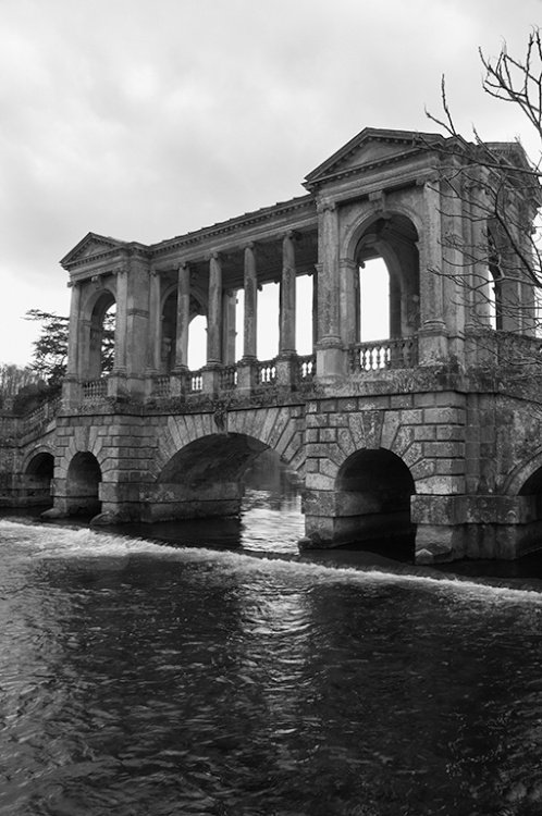 Monochrome of Palladian bridge