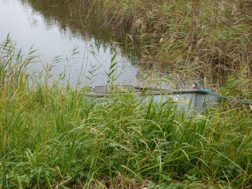 Strumpshaw Fen