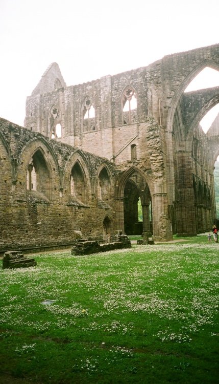 Tintern Abbey