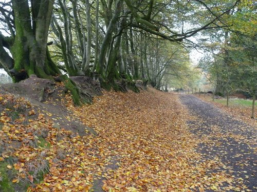 Quantock Hills