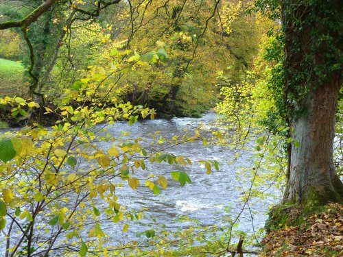 Higher Hodder Bridge