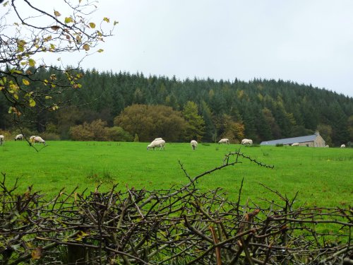 Higher Hodder Bridge