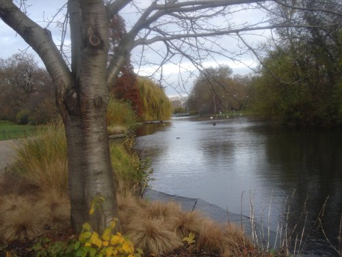 St.James Park