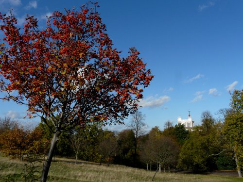 The Royal Observatory in Autumn