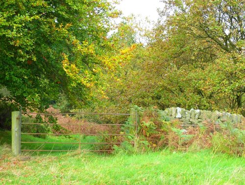 Longridge Fell