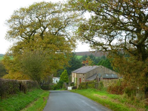 Cowley Brook Farm