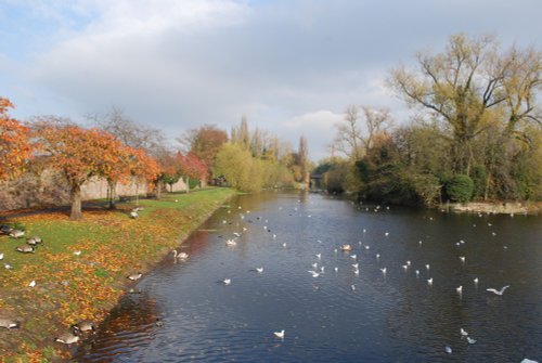 Abbey Park