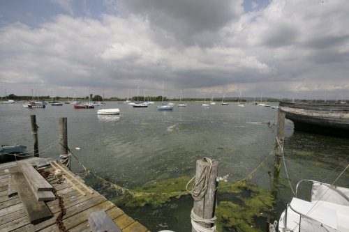 Small Harbour and boats