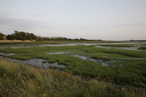 Nature Reserve