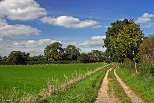 Child Okeford, Dorset