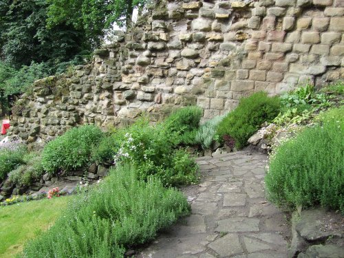 The Herb Garden