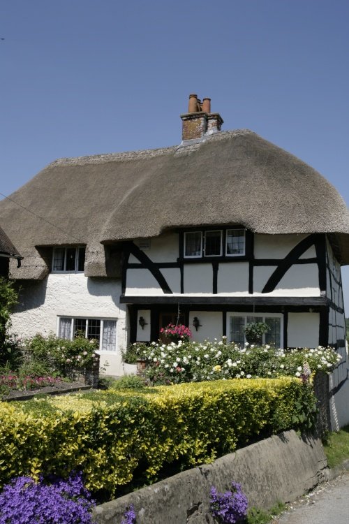 Cottage in village